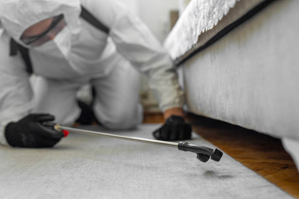 Professional Bed Bug Control technician working in Hickory Creek, TX